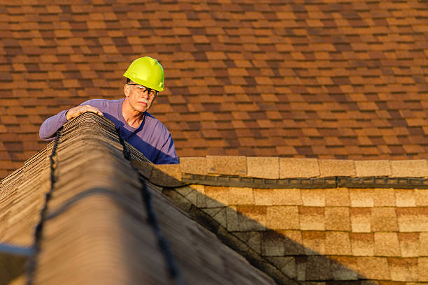 Roof Gutter Cleaning in Centreville, VA